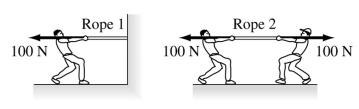 Rope 1 depicts a single individual pulling on a rope, exerting 100N force on the rope. Rope 2 depicts two individuals pulling on opposite ends of the rope, each individual exterts 100N force on the rope