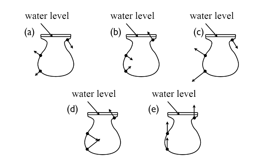 The image shows 5 different diagrams of an identical water vase, with 3 vectors in each diagram, all in the same position but with varying lengths and direction. Diagram A has vectors pointing outwards, perpendicularly away from the vase and water. The bottom vector is small, the middle a bit longer, with the highest vector being the longest. Diagram B has the same vector lengths as A, just with the vectors pointing in towards the vase and water. Diagram C has vectors pointing outwards like A, but the lengths of the vectors start small from the top and increase in length towards the bottom of the vase, which has the longest vector. Diagram D has the same lengths as C, only with the vectors pointing towards the vase and water. Finally, Diagram E has all 3 vectors of equal length and pointing perfectly upwards.